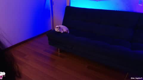 Snapshot of imtaylor__ chatting on October 24, 2025, 1:03 am TAYLOR online show from October 24, 2025, 1:03 am