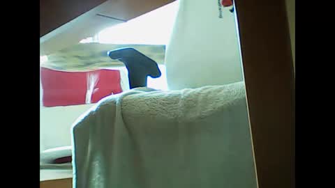 Snapshot of incontactwithmike chatting on November 9, 2025, 11:19 am incontactwithmike online show from November 9, 2025, 11:19 am