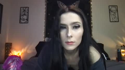 Indigo Bay online show from January 21, 2025, 2:54 am