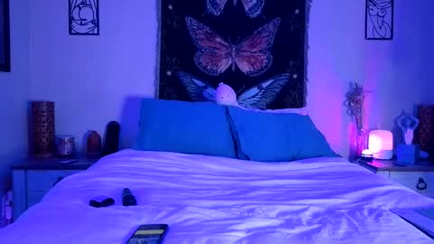 Indigo Bay online show from February 5, 2026, 5:23 am