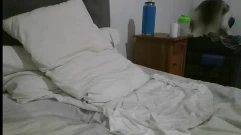 InkedViking69 online show from April 24, 2026, 7:27 pm