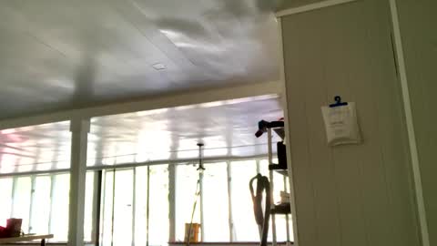 IntoTheWoodsWeGo online show from October 20, 2025, 2:06 pm