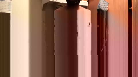 Snapshot of inyourmouthagain83 chatting on October 8, 2025, 9:29 am inyourmouthagain online show from October 8, 2025, 9:29 am