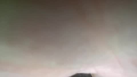 iracoots968862 online show from April 10, 2026, 11:15 am