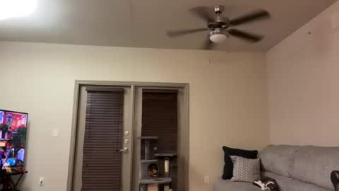 Snapshot of irissweets chatting on March 12, 2025, 4:41 am irissweets online show from March 12, 2025, 4:41 am