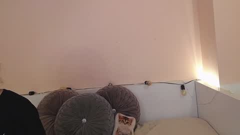    online show from December 21, 2024, 12:42 am