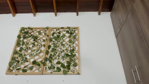 Isabella online show from February 13, 2025, 10:22 pm