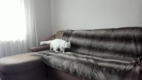 Issabelle online show from February 9, 2025, 7:16 am