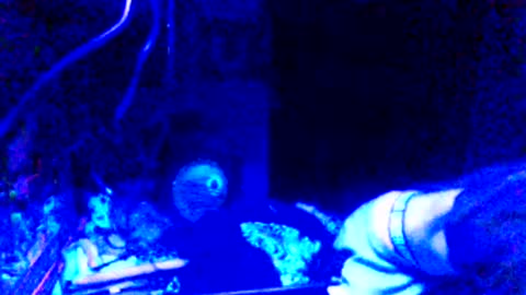 Girlnextdoor online show from March 25, 2026, 10:43 am