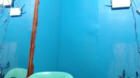 Snapshot of its_asiandave chatting on January 1, 2025, 11:51 pm DAVE online show from January 1, 2025, 11:51 pm