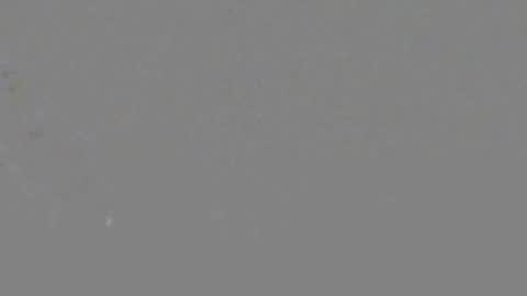ItsNyladior online show from June 6, 2026, 3:39 pm