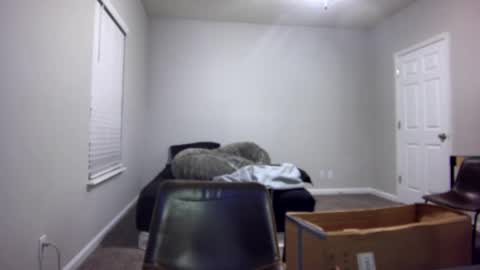 TARZAN online show from December 13, 2024, 7:04 am