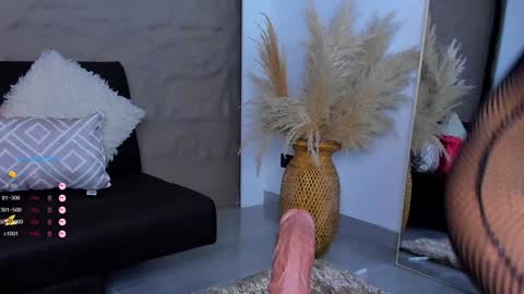 Snapshot of ivy_li chatting on December 4, 2024, 6:33 am Daniela online show from December 4, 2024, 6:33 am