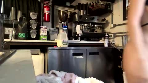 Ivy Rose online show from November 5, 2025, 3:34 pm