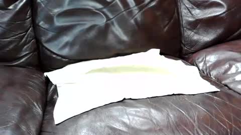 j0junkie online show from February 25, 2025, 7:03 pm