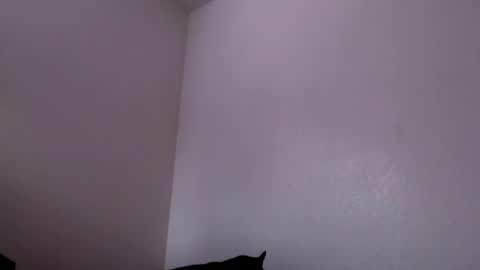 Mugen online show from February 4, 2025, 6:27 pm