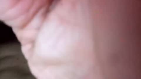 j434934474201 online show from August 7, 2026, 4:31 pm