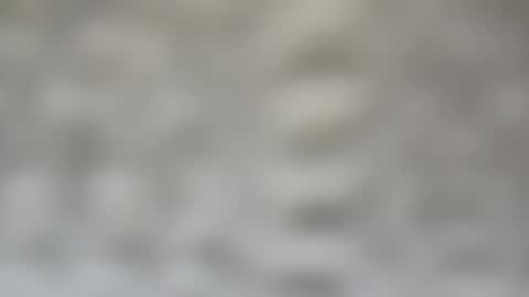 Snapshot of j727551 chatting on February 15, 2025, 7:28 pm j727551 online show from February 15, 2025, 7:28 pm