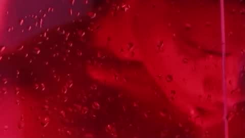 i am juan musiry independent model  online show from November 22, 2025, 12:04 pm