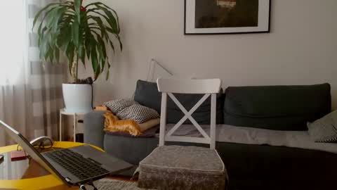 jacek___1 online show from February 27, 2026, 9:09 am