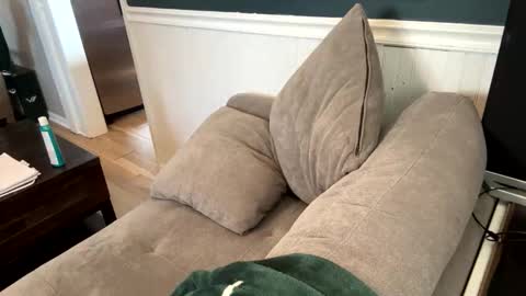 jack_daniels8101 online show from April 7, 2026, 9:04 pm