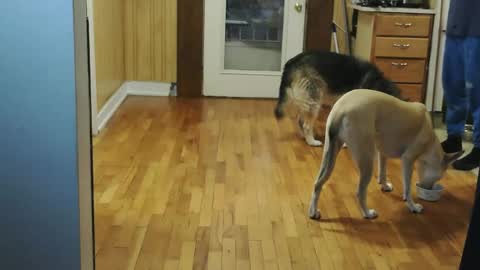 funtimes49203 online show from January 10, 2026, 2:08 pm