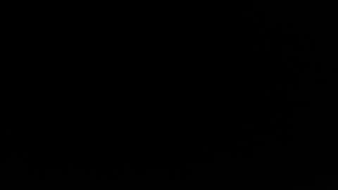 jacksonp41 online show from May 20, 2026, 11:11 pm