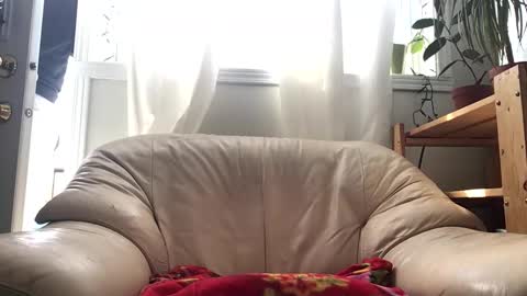 Jacob online show from February 14, 2026, 4:59 pm