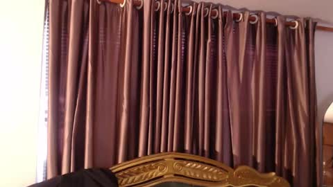 Sara online show from September 11, 2025, 12:05 pm