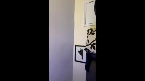 Allen online show from December 14, 2025, 5:13 am