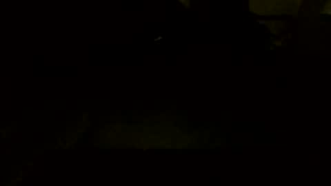 Jamacian online show from October 7, 2025, 9:45 pm