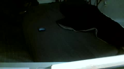 Snapshot of jamacianmehorny chatting on December 14, 2025, 8:13 pm Jamacian online show from December 14, 2025, 8:13 pm