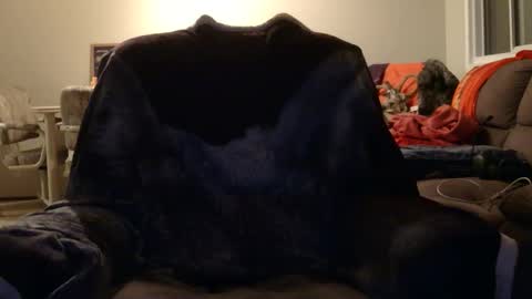 Snapshot of jameswolf777 chatting on November 12, 2025, 8:48 am jameswolf777 online show from November 12, 2025, 8:48 am