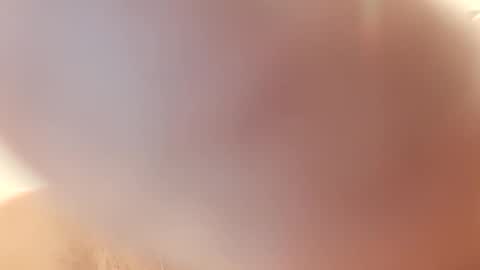 Snapshot of jamie198307 chatting on November 22, 2025, 7:24 pm jamie198307 online show from November 22, 2025, 7:24 pm