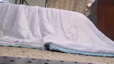 Bootyshows online show from February 20, 2026, 3:45 pm