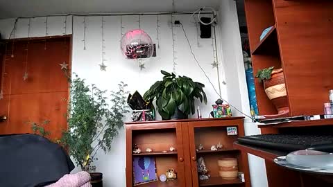 janariivera1 online show from March 24, 2026, 4:56 pm