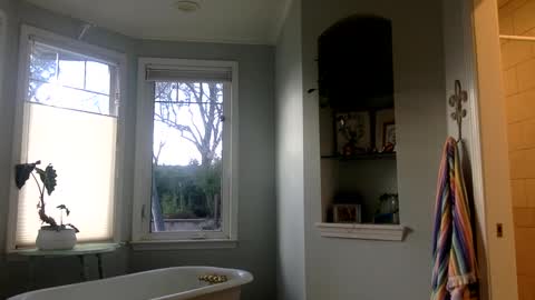 janicepepper online show from March 2, 2025, 12:53 am