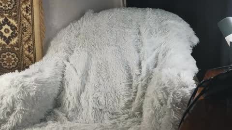 K online show from January 15, 2026, 5:05 pm