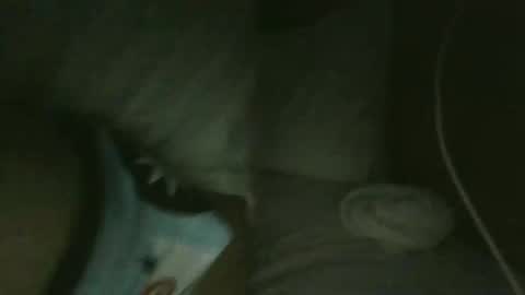 jarrettdainty559 online show from December 18, 2025, 8:31 am