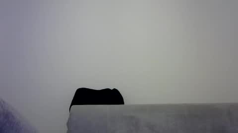 jaspal55 online show from November 9, 2025, 2:04 pm