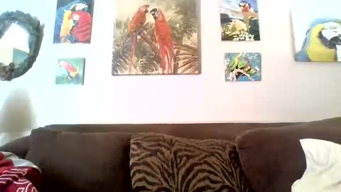 jay-jay1475 online show from January 1, 2025, 5:22 pm