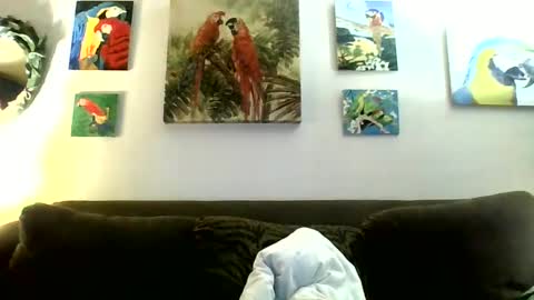 jay-jay1475 online show from January 12, 2025, 7:31 pm