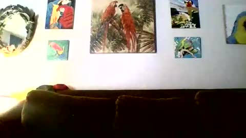 jay-jay1475 online show from February 18, 2026, 6:15 pm