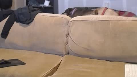 O F   jay short786 online show from February 17, 2025, 7:53 pm