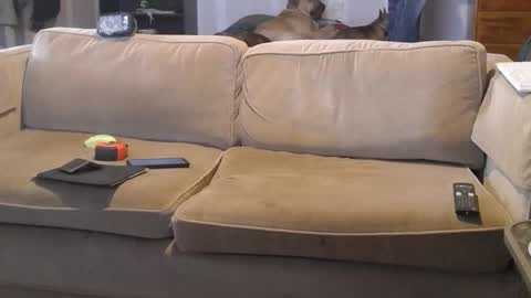 O F   jay short786 online show from March 1, 2025, 7:04 pm