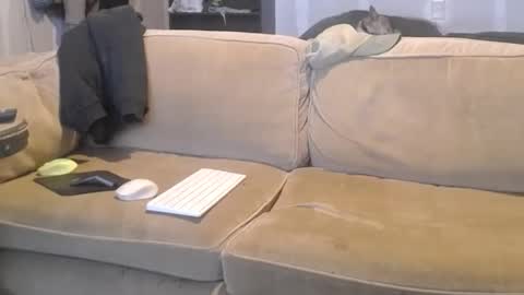 O F   jay short786 online show from March 9, 2025, 4:49 am