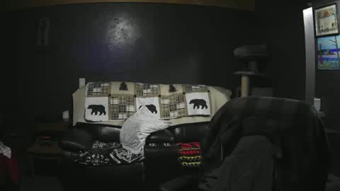 Grand Zaddy or Jay its casual online show from September 21, 2025, 2:57 am