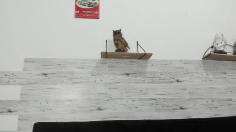 Jaycreedd online show from March 4, 2026, 5:13 am