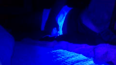 Jaysobricked online show from February 7, 2025, 6:35 am