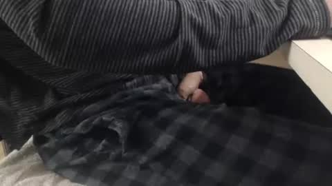 Snapshot of jc200000 chatting on November 3, 2025, 6:31 pm jc200000 online show from November 3, 2025, 6:31 pm